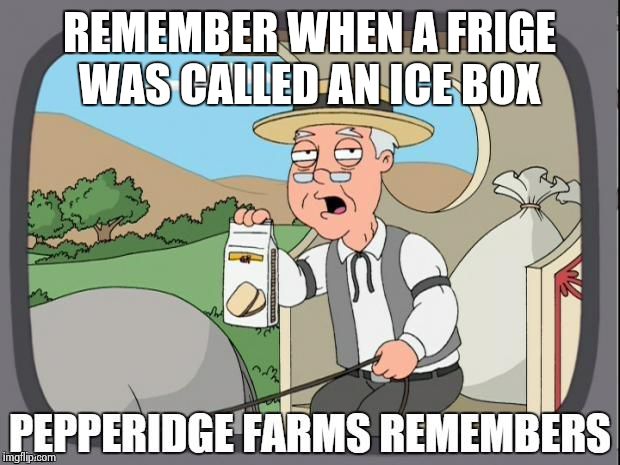 PEPPERIDGE FARMS REMEMBERS | REMEMBER WHEN A FRIGE WAS CALLED AN ICE BOX | image tagged in pepperidge farms remembers | made w/ Imgflip meme maker