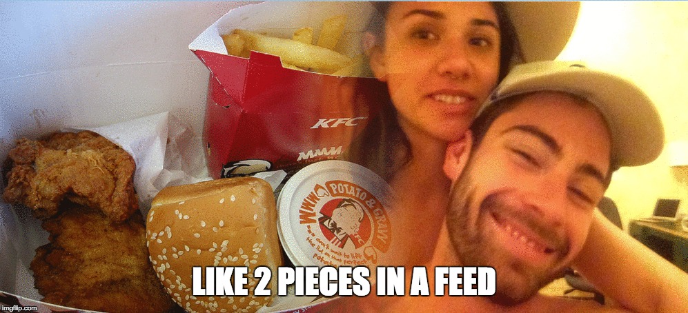 2 Pieces in a Feed | LIKE 2 PIECES IN A FEED | image tagged in kfc | made w/ Imgflip meme maker