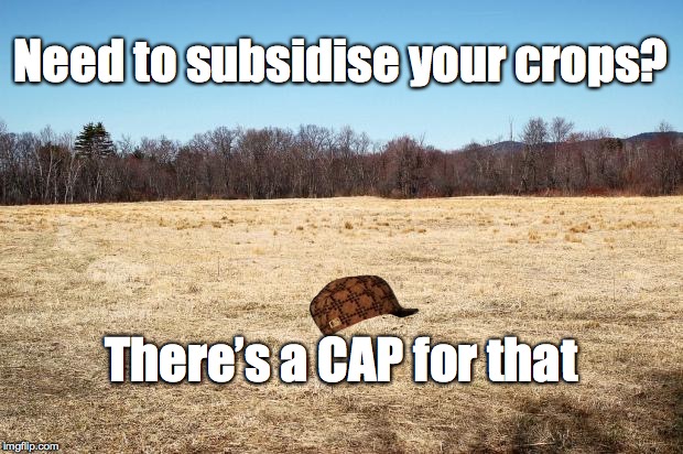 Field Where Fucks are Grown | Need to subsidise your crops? There’s a CAP for that | image tagged in field where fucks are grown,scumbag | made w/ Imgflip meme maker