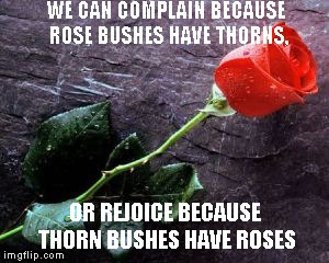 The Right Attitude | WE CAN COMPLAIN BECAUSE ROSE BUSHES HAVE THORNS, OR REJOICE BECAUSE THORN BUSHES HAVE ROSES | image tagged in quotes | made w/ Imgflip meme maker