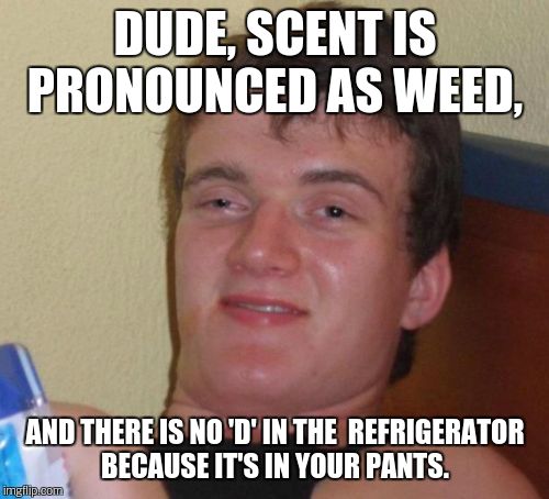 10 Guy Meme | DUDE, SCENT IS PRONOUNCED AS WEED, AND THERE IS NO 'D' IN THE  REFRIGERATOR BECAUSE IT'S IN YOUR PANTS. | image tagged in memes,10 guy | made w/ Imgflip meme maker