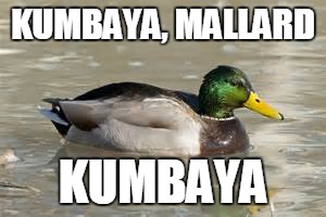 Kumbaya | KUMBAYA, MALLARD KUMBAYA | image tagged in duck,kumbaya,music | made w/ Imgflip meme maker