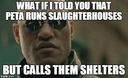 Matrix Morpheus | WHAT IF I TOLD YOU THAT PETA RUNS SLAUGHTERHOUSES BUT CALLS THEM SHELTERS | image tagged in memes,matrix morpheus | made w/ Imgflip meme maker