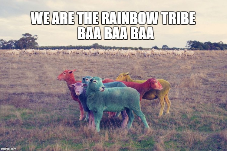 WE ARE THE RAINBOW TRIBE BAA BAA BAA | image tagged in rainbow | made w/ Imgflip meme maker