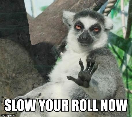 Stoner Lemur | SLOW YOUR ROLL NOW | image tagged in memes,stoner lemur | made w/ Imgflip meme maker