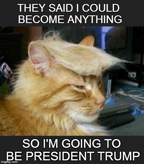 Trump | THEY SAID I COULD BECOME ANYTHING SO I'M GOING TO BE PRESIDENT TRUMP | image tagged in donald trump | made w/ Imgflip meme maker
