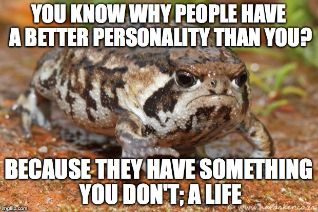 Grumpy Toad | YOU KNOW WHY PEOPLE HAVE A BETTER PERSONALITY THAN YOU? BECAUSE THEY HAVE SOMETHING YOU DON'T; A LIFE | image tagged in memes,grumpy toad | made w/ Imgflip meme maker