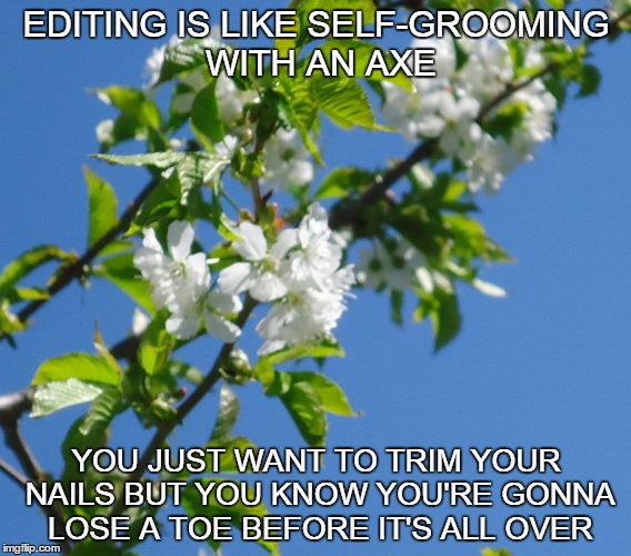 EDITING IS LIKE SELF-GROOMING WITH AN AXE YOU JUST WANT TO TRIM YOUR NAILS BUT YOU KNOW YOU'RE GONNA LOSE A TOE BEFORE IT'S ALL OVER | image tagged in amediting,writing | made w/ Imgflip meme maker