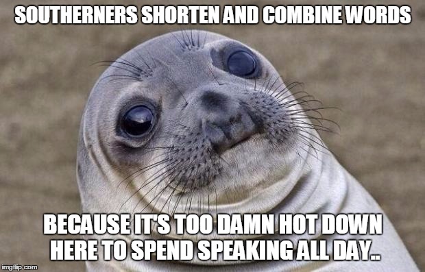 Awkward Southern Sealion | SOUTHERNERS SHORTEN AND COMBINE WORDS BECAUSE IT'S TOO DAMN HOT DOWN HERE TO SPEND SPEAKING ALL DAY.. | image tagged in memes,awkward moment sealion | made w/ Imgflip meme maker