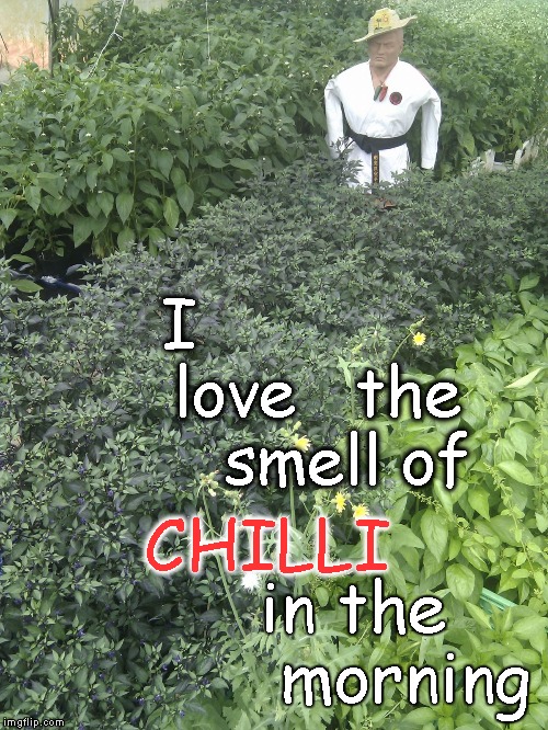 I              love   the        smell of CHILLI in the            morning | image tagged in i love the smell | made w/ Imgflip meme maker