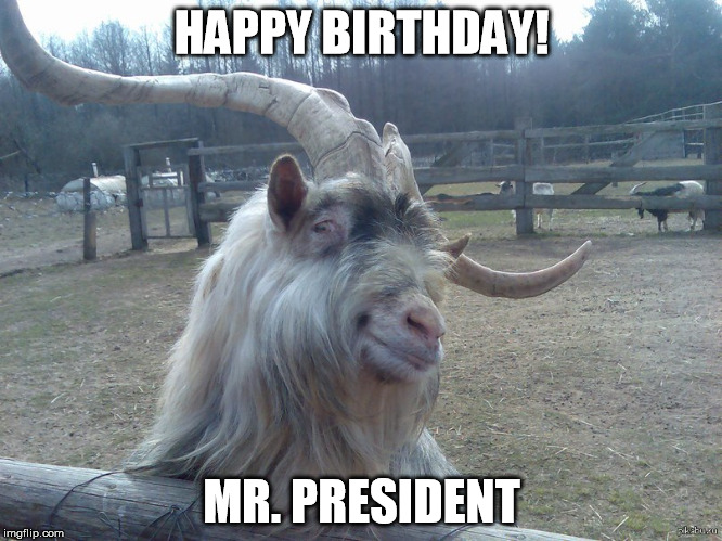 HAPPY BIRTHDAY! MR. PRESIDENT | image tagged in sexy goat,goat,ridiculously photogenic goat,happy birthday | made w/ Imgflip meme maker
