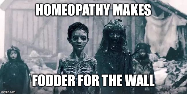 HOMEOPATHY MAKES FODDER FOR THE WALL | image tagged in antivax-kids,game of thrones | made w/ Imgflip meme maker
