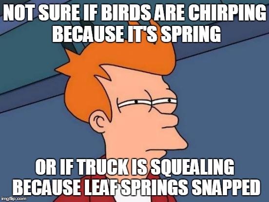 Futurama Fry | NOT SURE IF BIRDS ARE CHIRPING BECAUSE IT'S SPRING OR IF TRUCK IS SQUEALING BECAUSE LEAF SPRINGS SNAPPED | image tagged in memes,futurama fry | made w/ Imgflip meme maker