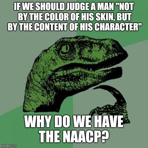 Philosoraptor Meme | IF WE SHOULD JUDGE A MAN "NOT BY THE COLOR OF HIS SKIN, BUT BY THE CONTENT OF HIS CHARACTER" WHY DO WE HAVE THE NAACP? | image tagged in memes,philosoraptor | made w/ Imgflip meme maker