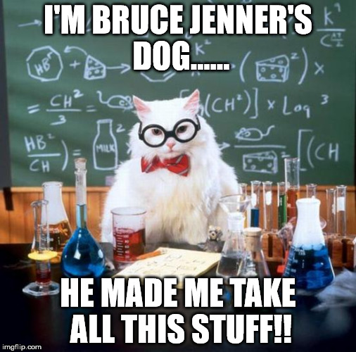 Chemistry Cat | I'M BRUCE JENNER'S DOG...... HE MADE ME TAKE ALL THIS STUFF!! | image tagged in memes,chemistry cat | made w/ Imgflip meme maker