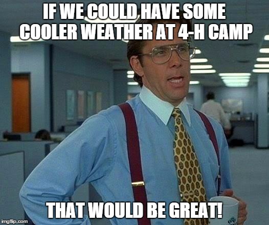 That Would Be Great Meme | IF WE COULD HAVE SOME COOLER WEATHER AT 4-H CAMP THAT WOULD BE GREAT! | image tagged in memes,that would be great | made w/ Imgflip meme maker