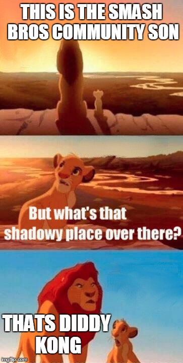 Simba Shadowy Place | THIS IS THE SMASH BROS COMMUNITY SON THATS DIDDY KONG | image tagged in memes,simba shadowy place | made w/ Imgflip meme maker