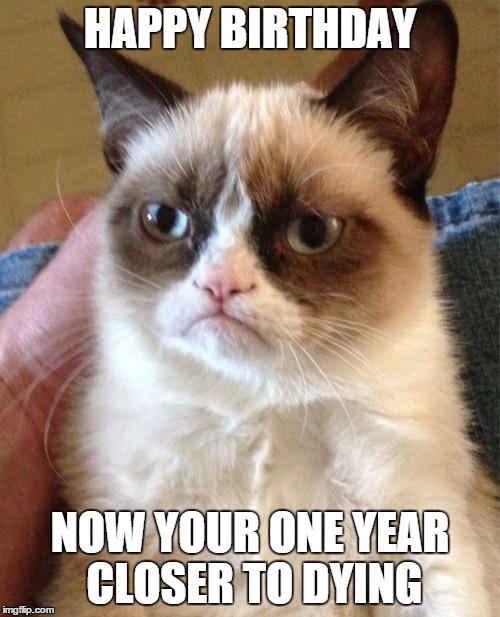 Grumpy Cat | HAPPY BIRTHDAY NOW YOUR ONE YEAR CLOSER TO DYING | image tagged in memes,grumpy cat,funny,grumpy cat birthday | made w/ Imgflip meme maker