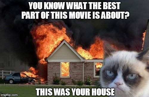 Burn Kitty Meme | YOU KNOW WHAT THE BEST PART OF THIS MOVIE IS ABOUT? THIS WAS YOUR HOUSE | image tagged in memes,burn kitty | made w/ Imgflip meme maker