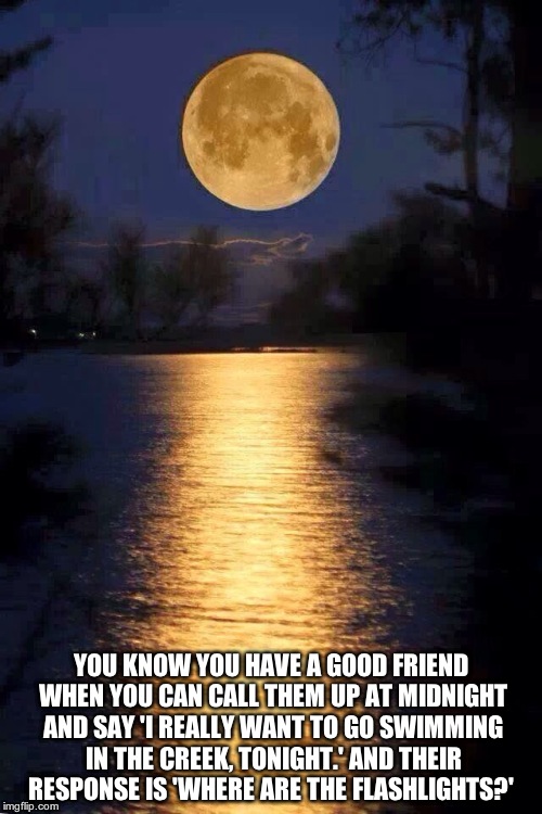 Good nigh friends | YOU KNOW YOU HAVE A GOOD FRIEND WHEN YOU CAN CALL THEM UP AT MIDNIGHT AND SAY 'I REALLY WANT TO GO SWIMMING IN THE CREEK, TONIGHT.' AND THEI | image tagged in good nigh friends | made w/ Imgflip meme maker