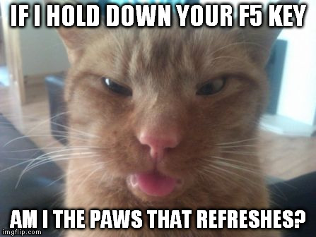 derpcat | IF I HOLD DOWN YOUR F5 KEY AM I THE PAWS THAT REFRESHES? | image tagged in derpcat | made w/ Imgflip meme maker