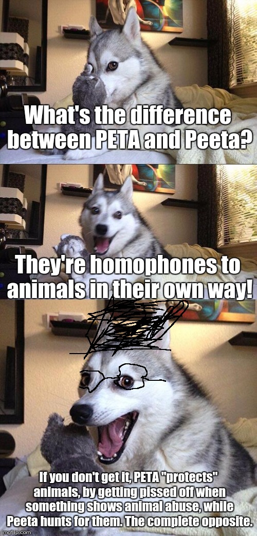 Bad Pun Dog | What's the difference between PETA and Peeta? They're homophones to animals in their own way! If you don't get it, PETA "protects" animals,  | image tagged in memes,bad pun dog | made w/ Imgflip meme maker