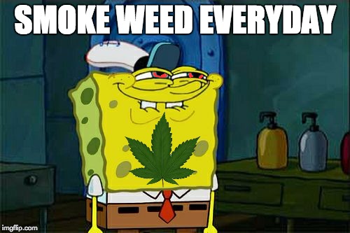 Don't You Squidward Meme | SMOKE WEED EVERYDAY | image tagged in memes,dont you squidward | made w/ Imgflip meme maker