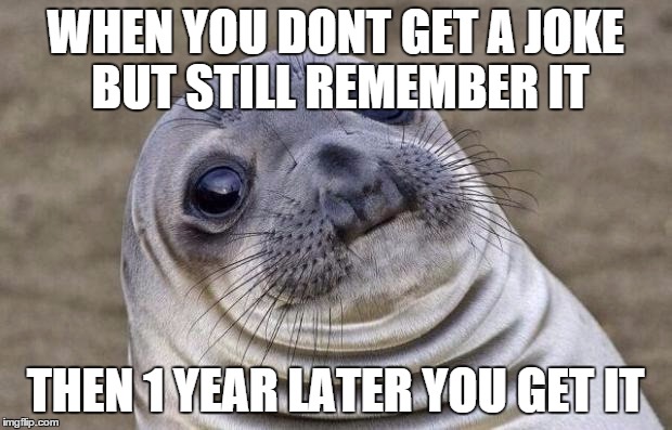 this happened today | WHEN YOU DONT GET A JOKE BUT STILL REMEMBER IT THEN 1 YEAR LATER YOU GET IT | image tagged in memes,awkward moment sealion | made w/ Imgflip meme maker