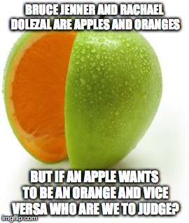 BRUCE JENNER AND RACHAEL DOLEZAL ARE APPLES AND ORANGES BUT IF AN APPLE WANTS TO BE AN ORANGE AND VICE VERSA WHO ARE WE TO JUDGE? | made w/ Imgflip meme maker