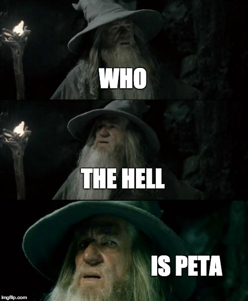 Confused Gandalf Meme | WHO THE HELL IS PETA | image tagged in memes,confused gandalf | made w/ Imgflip meme maker