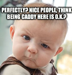 Skeptical Baby Meme | PERFECTLY? NICE PEOPLE, THINK BEING CADDY HERE IS O.K.? | image tagged in memes,skeptical baby | made w/ Imgflip meme maker
