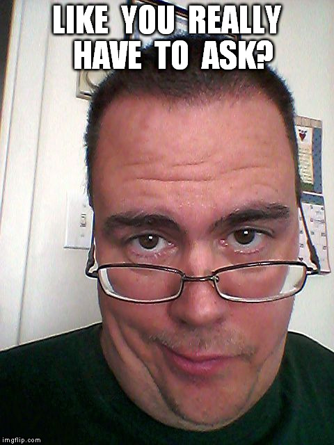 LIKE  YOU  REALLY  HAVE  TO  ASK? | image tagged in you're kidding,right | made w/ Imgflip meme maker