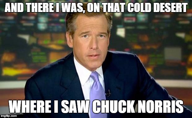 Brian Williams Was There Meme | AND THERE I WAS, ON THAT COLD DESERT WHERE I SAW CHUCK NORRIS | image tagged in memes,brian williams was there | made w/ Imgflip meme maker