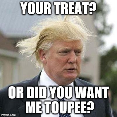 Donald Trump | YOUR TREAT? OR DID YOU WANT ME TOUPEE? | image tagged in donald trump | made w/ Imgflip meme maker