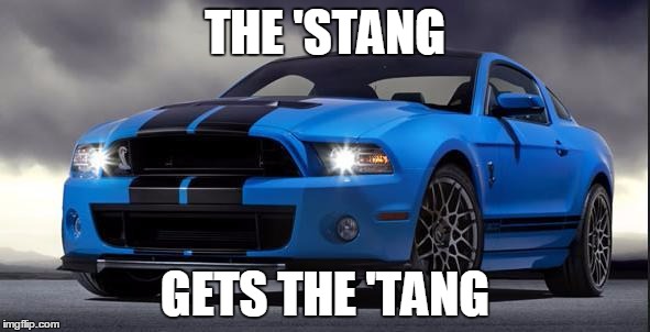 Mustang | THE 'STANG GETS THE 'TANG | image tagged in mustang | made w/ Imgflip meme maker