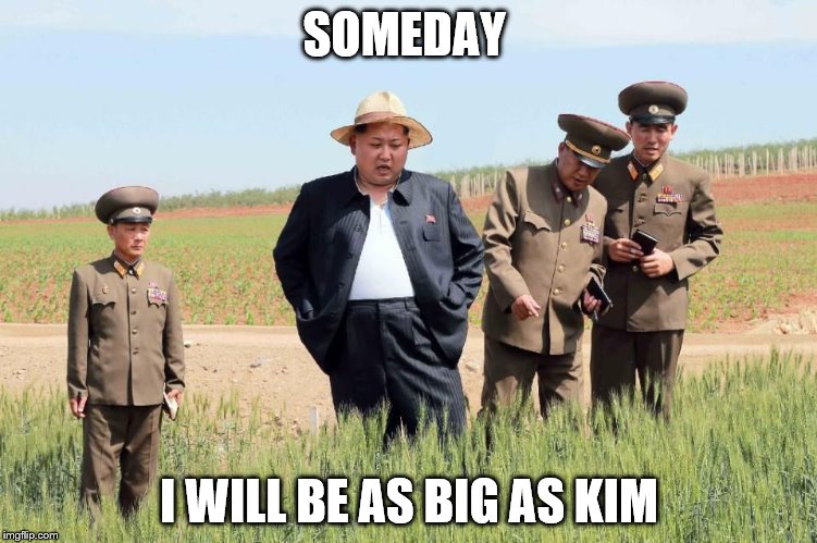SOMEDAY I WILL BE AS BIG AS KIM | image tagged in herpaderp kim | made w/ Imgflip meme maker