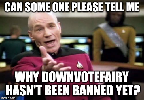 Picard Wtf | CAN SOME ONE PLEASE TELL ME WHY DOWNVOTEFAIRY HASN'T BEEN BANNED YET? | image tagged in memes,picard wtf | made w/ Imgflip meme maker