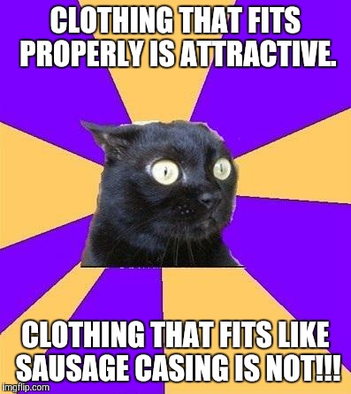 anxiety cat | CLOTHING THAT FITS PROPERLY IS ATTRACTIVE. CLOTHING THAT FITS LIKE SAUSAGE CASING IS NOT!!! | image tagged in anxiety cat | made w/ Imgflip meme maker