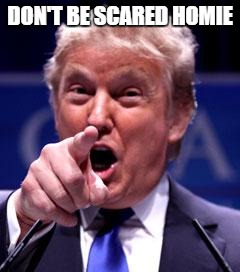 Trump Trademark | DON'T BE SCARED HOMIE | image tagged in trump trademark | made w/ Imgflip meme maker