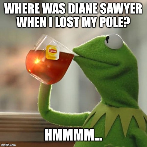 BUT THATS NONE OF MY BUSINESS | WHERE WAS DIANE SAWYER WHEN I LOST MY POLE? HMMMM... | image tagged in memes,but thats none of my business,kermit the frog,diane sawyer,morph,pole | made w/ Imgflip meme maker