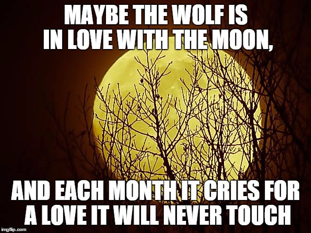 wolf moon | MAYBE THE WOLF IS IN LOVE WITH THE MOON, AND EACH MONTH IT CRIES FOR A LOVE IT WILL NEVER TOUCH | image tagged in wolf moon | made w/ Imgflip meme maker