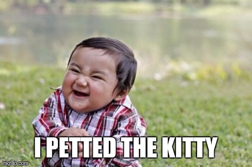 Evil Toddler Meme | I PETTED THE KITTY | image tagged in memes,evil toddler | made w/ Imgflip meme maker
