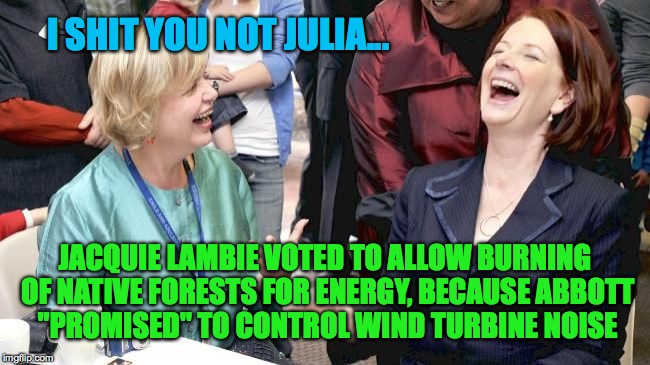 I shit you not Julia | I SHIT YOU NOT JULIA... JACQUIE LAMBIE VOTED TO ALLOW BURNING OF NATIVE FORESTS FOR ENERGY, BECAUSE ABBOTT "PROMISED" TO CONTROL WIND TURBIN | image tagged in i shit you not julia | made w/ Imgflip meme maker