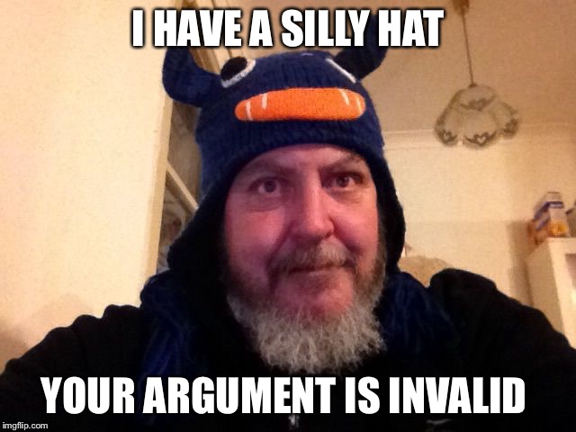 I HAVE A SILLY HAT YOUR ARGUMENT IS INVALID | image tagged in kids hat | made w/ Imgflip meme maker