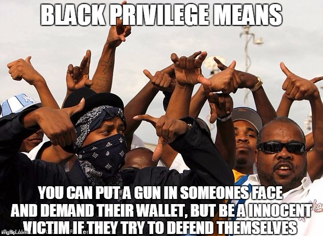 Black Privilege | BLACK PRIVILEGE MEANS YOU CAN PUT A GUN IN SOMEONES FACE AND DEMAND THEIR WALLET, BUT BE A INNOCENT VICTIM IF THEY TRY TO DEFEND THEMSELVES | image tagged in gang members,racism | made w/ Imgflip meme maker