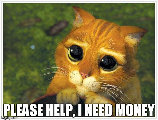 Shrek Cat Meme | PLEASE HELP, I NEED MONEY | image tagged in memes,shrek cat | made w/ Imgflip meme maker