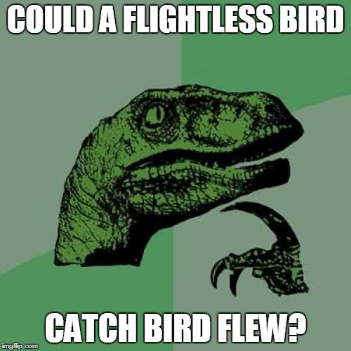 I know it's a homonym | COULD A FLIGHTLESS BIRD CATCH BIRD FLEW? | image tagged in memes,philosoraptor | made w/ Imgflip meme maker