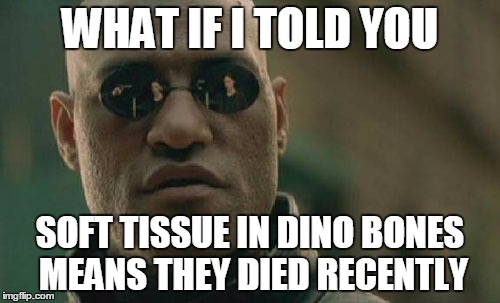 Matrix Morpheus | WHAT IF I TOLD YOU SOFT TISSUE IN DINO BONES MEANS THEY DIED RECENTLY | image tagged in memes,matrix morpheus | made w/ Imgflip meme maker