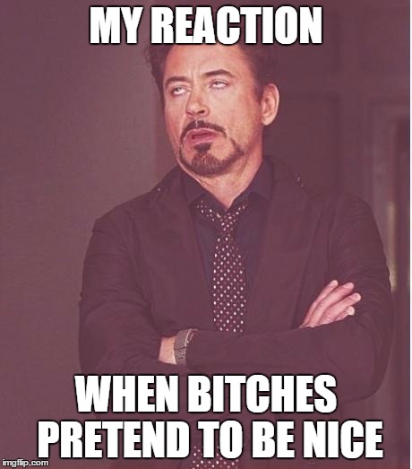 rdj rolling eyes | MY REACTION WHEN B**CHES PRETEND TO BE NICE | image tagged in rdj rolling eyes | made w/ Imgflip meme maker