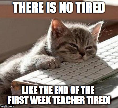 tired cat | THERE IS NO TIRED LIKE THE END OF THE FIRST WEEK TEACHER TIRED! | image tagged in tired cat | made w/ Imgflip meme maker